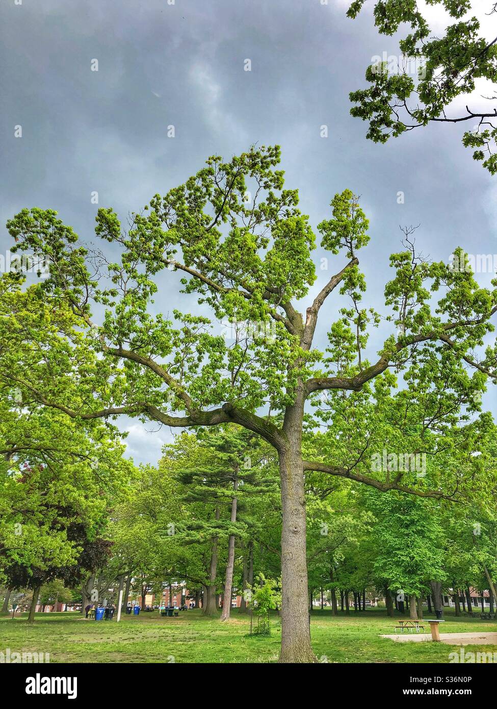 Storm clouds are rolling in. - Smartphone Captured Stock Image