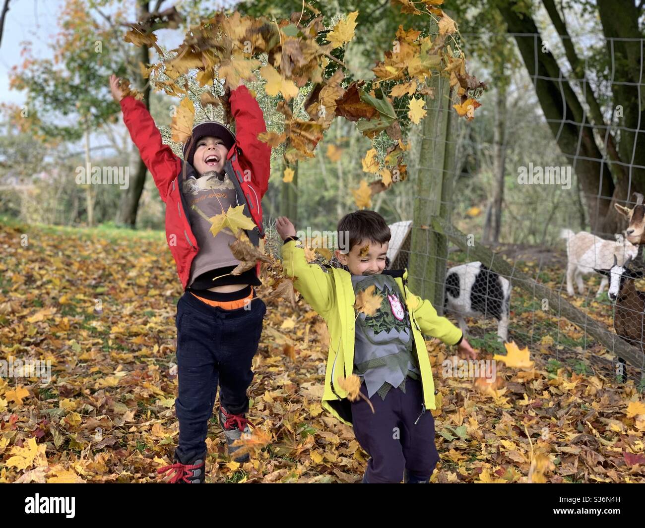 Children jump leaves hi-res stock photography and images - Alamy