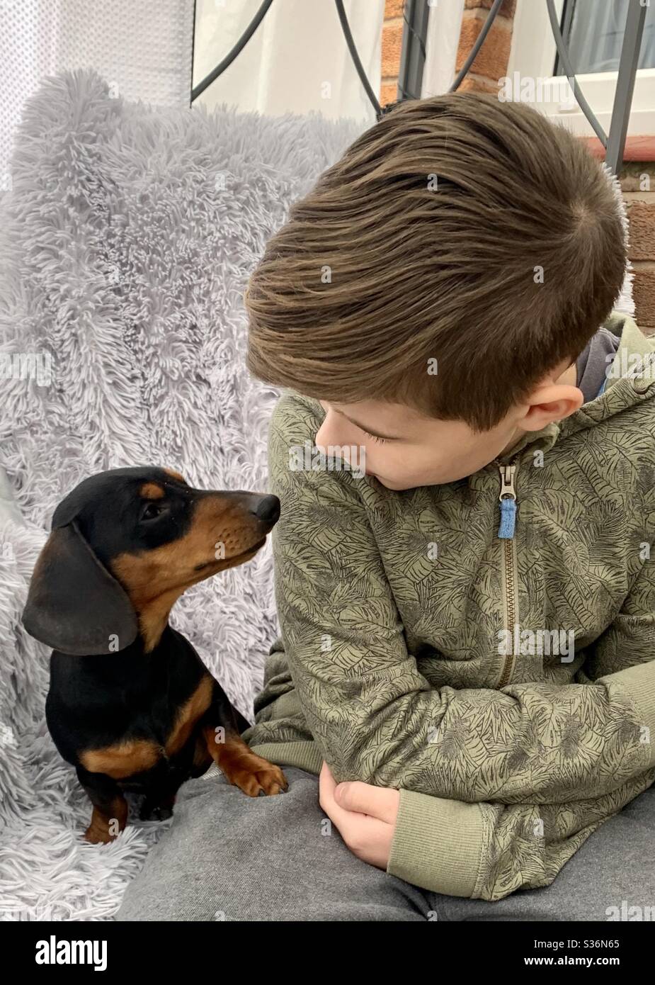 Boy and his Dachshund dog Stock Photo