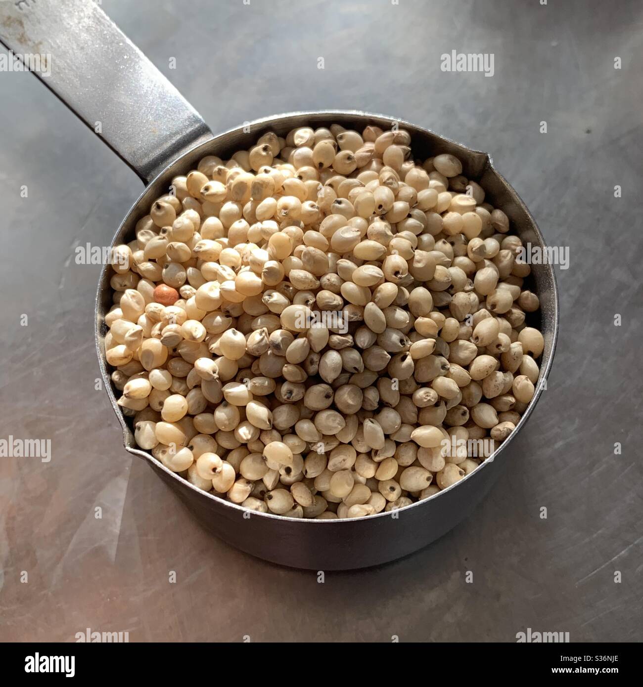 The grain millet in steel measuring cup, raw dry ready for cooking - Smartphone Captured Stock Image