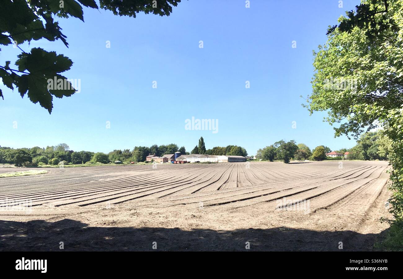 Farmers ploughed field - Smartphone Captured Stock Image