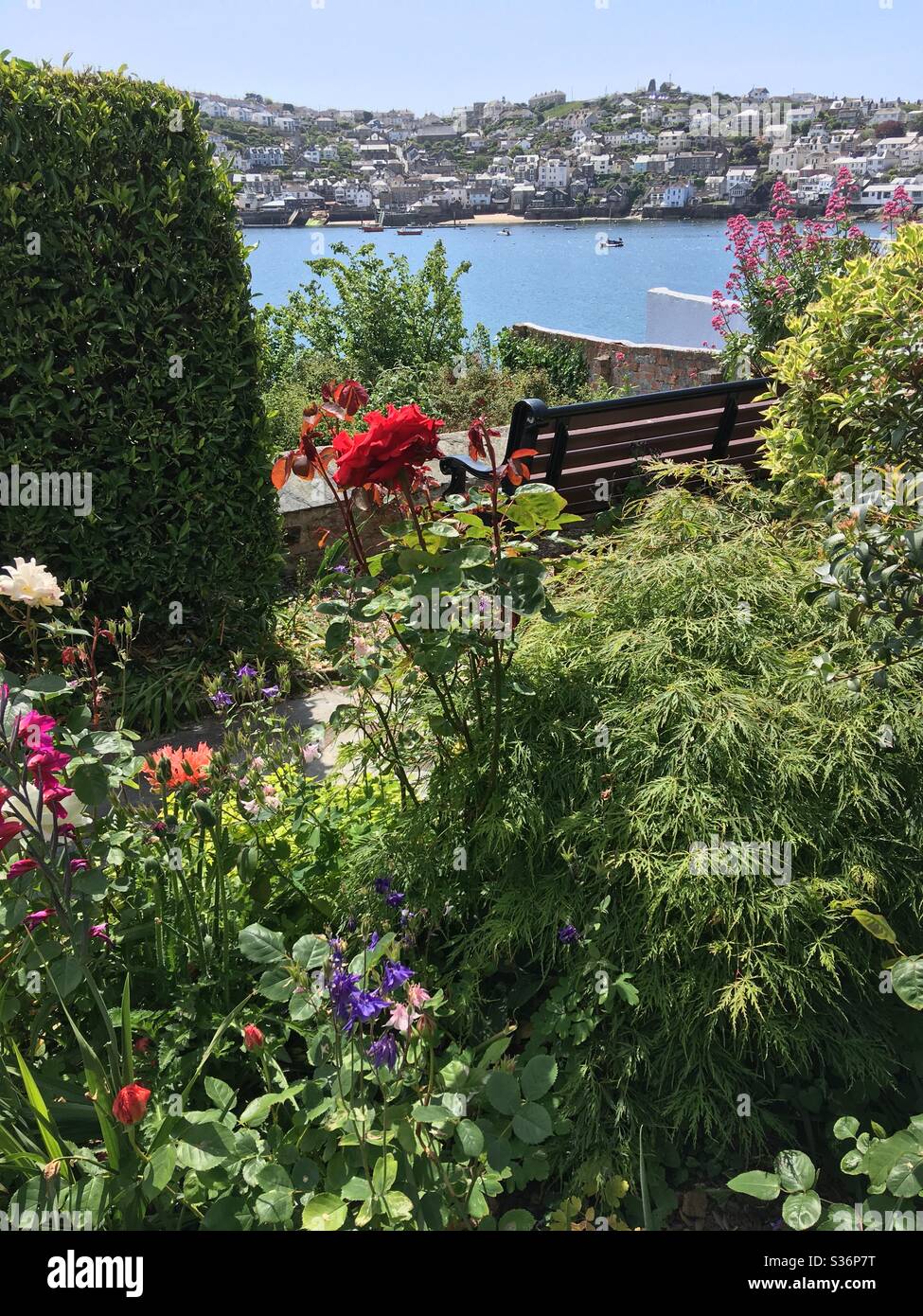 In Fowey, Cornwall, in a beautiful and colourful garden overlooking the River Fowey, looking towards Polruan - Smartphone Captured Stock Image