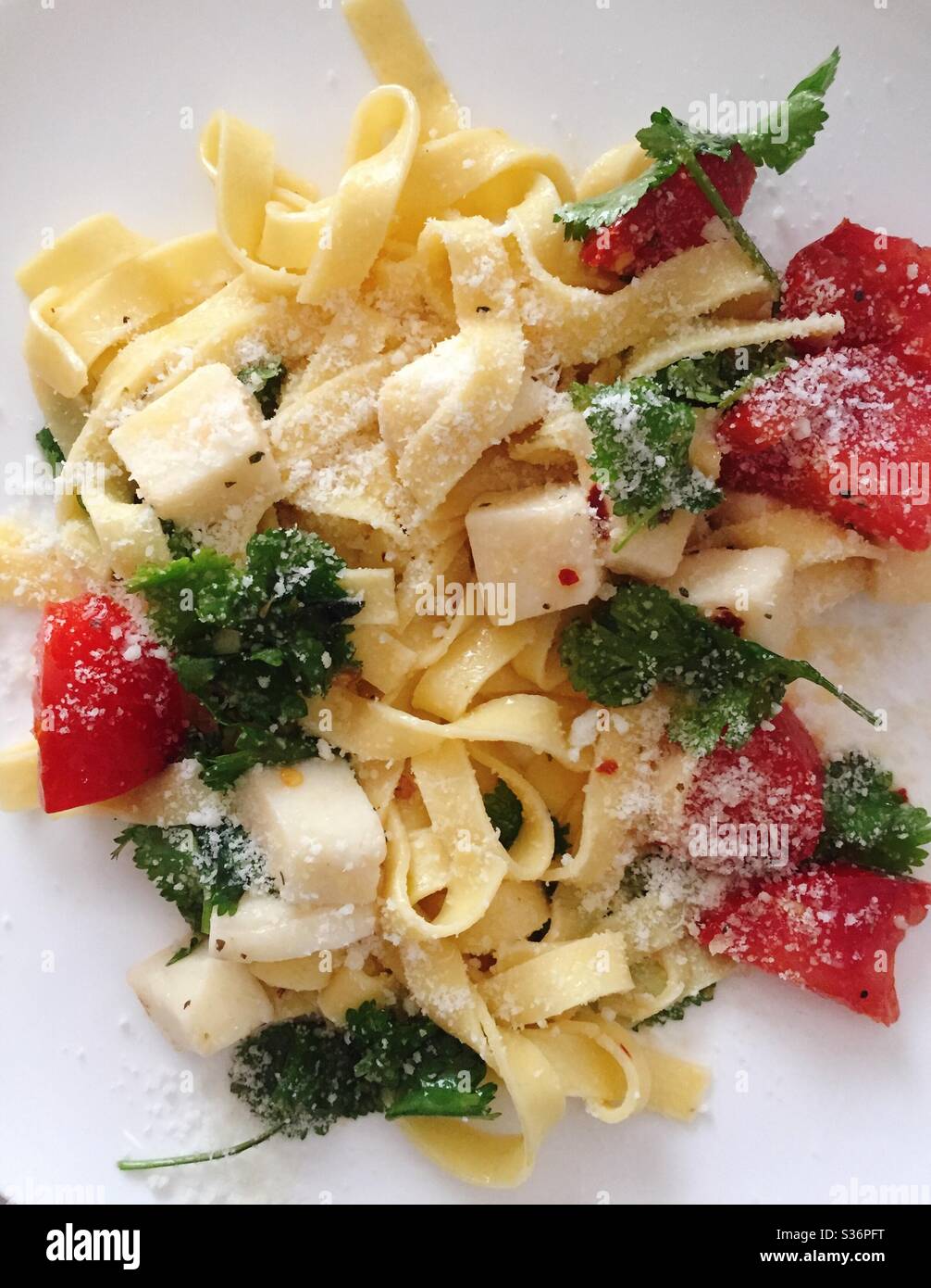 Close up of an Italian dish of pasta Primavera made with fettuccine, fresh tomatoes and mozzarella cheese - Smartphone Captured Stock Image