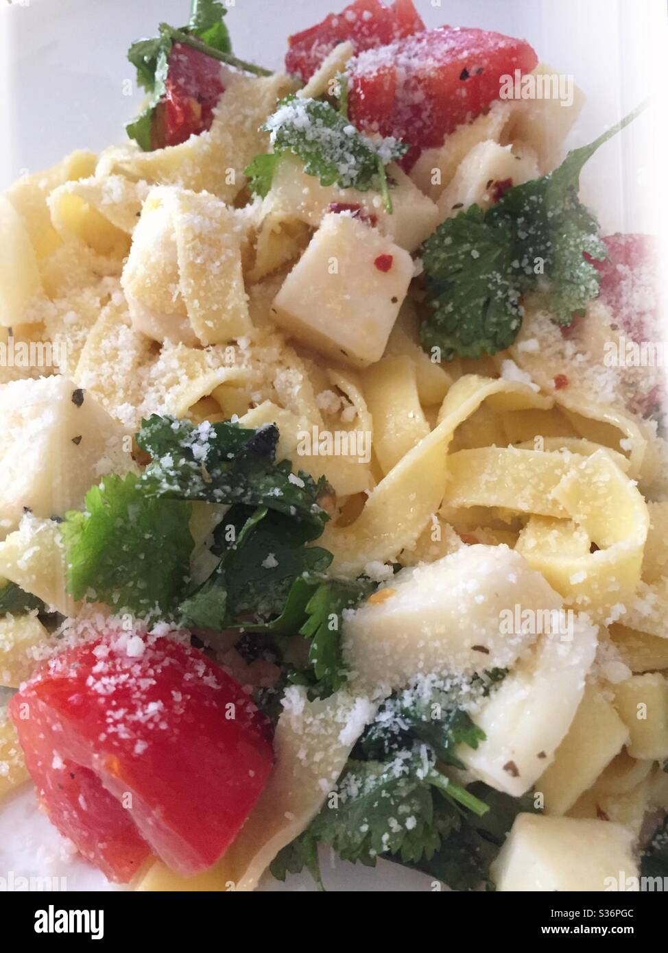 Close up of an Italian dish of pasta Primavera made with fettuccine - Smartphone Captured Stock Image