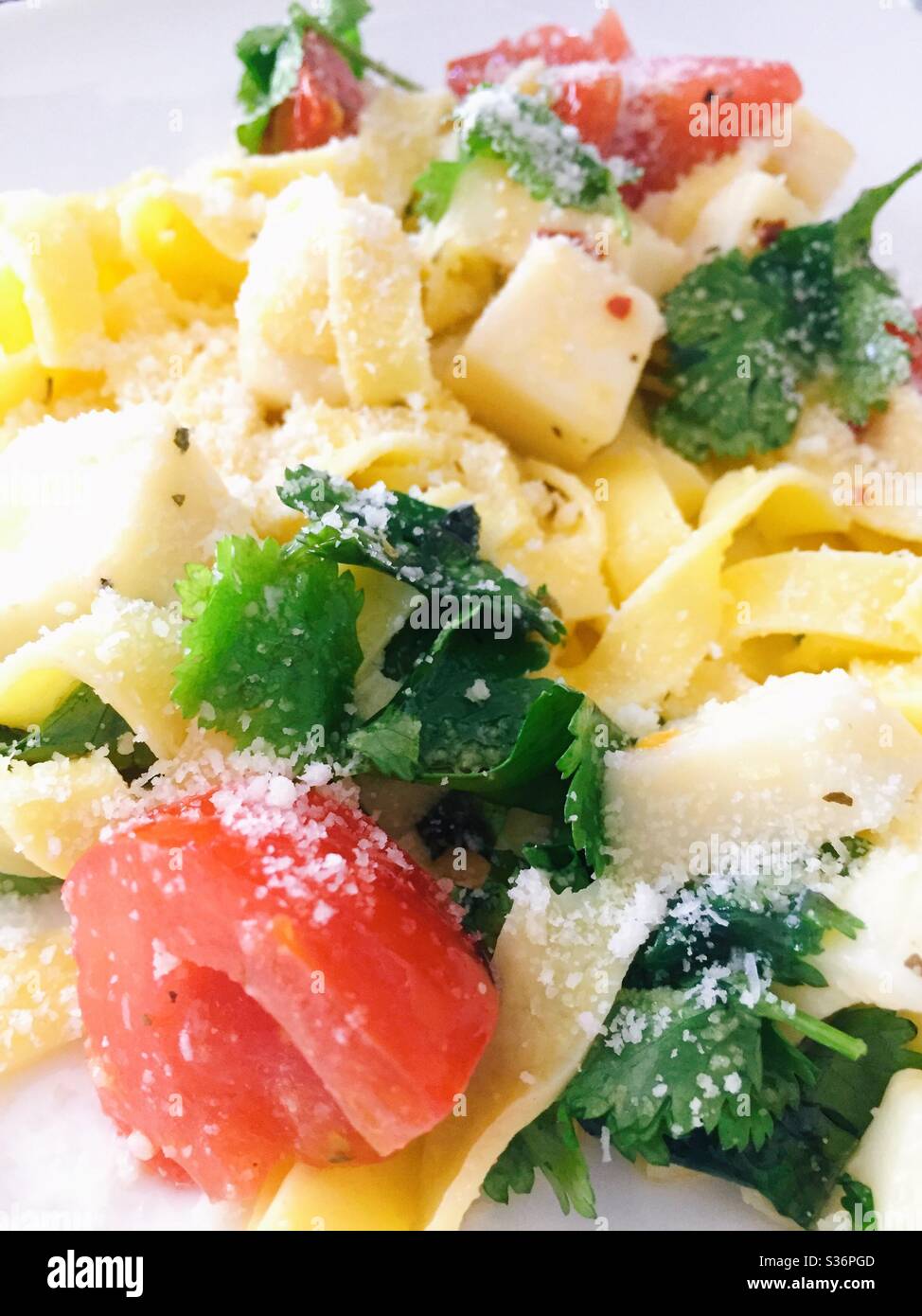 Close up of an Italian dish of pasta Primavera made with fettuccine - Smartphone Captured Stock Image