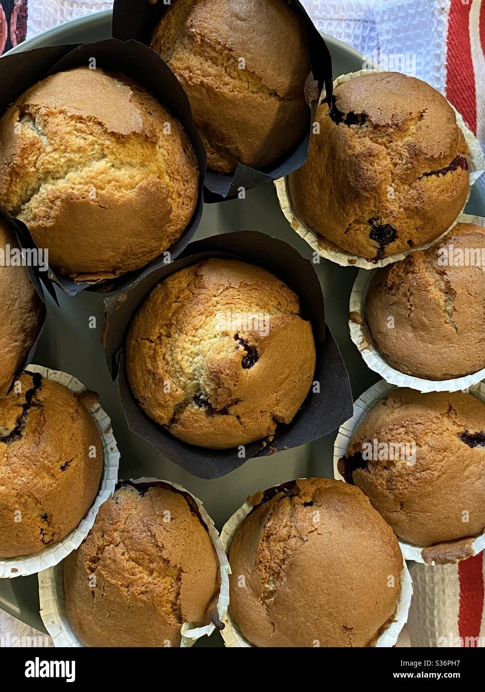 Blueberry Collective, Muffins homebaked - Smartphone Captured Stock Image