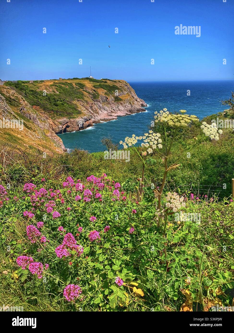 Portrait orientation of a beautiful sea view of Berry Head in Brixham, Davon. Blue sea, blue sky framed by green foliage and colourful flowers. Stock Photo