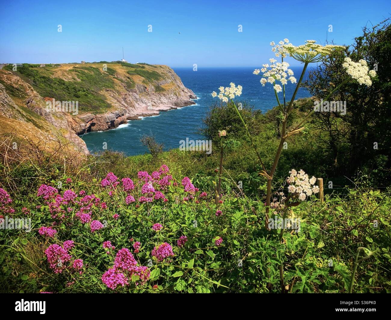 Landscape orientation of a beautiful sea view of Berry Head in Brixham, Davon. Blue sea, blue sky framed by green foliage and colourful flowers. Stock Photo