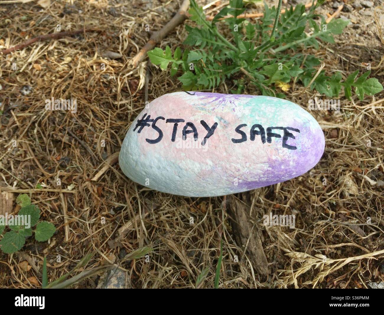 Hashtag Covid 19 Stay Safe quote painted on a stone. Stock Photo