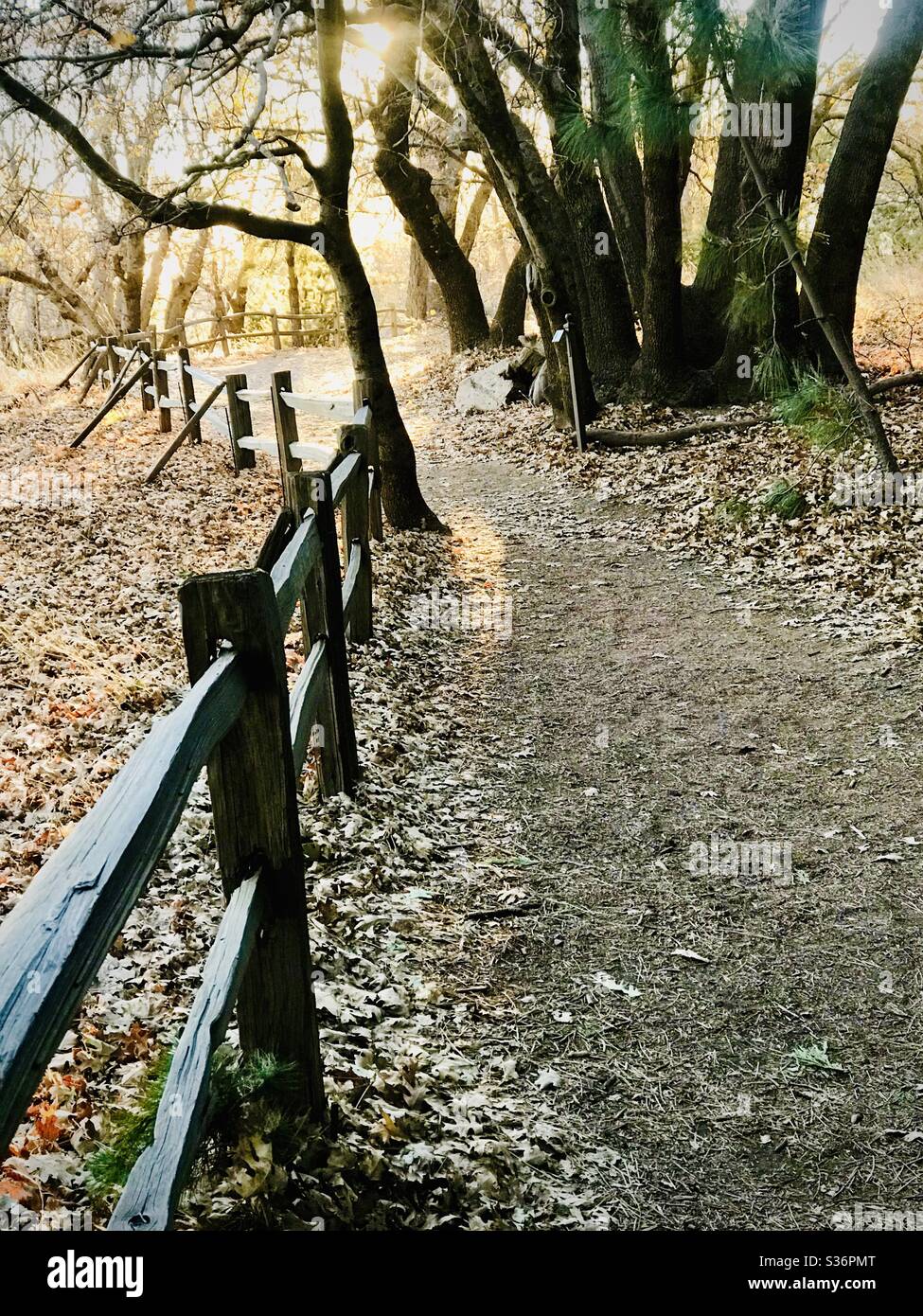 A winding wooden fence along a dirt path in the golden evening light of autumn. Stock Photo