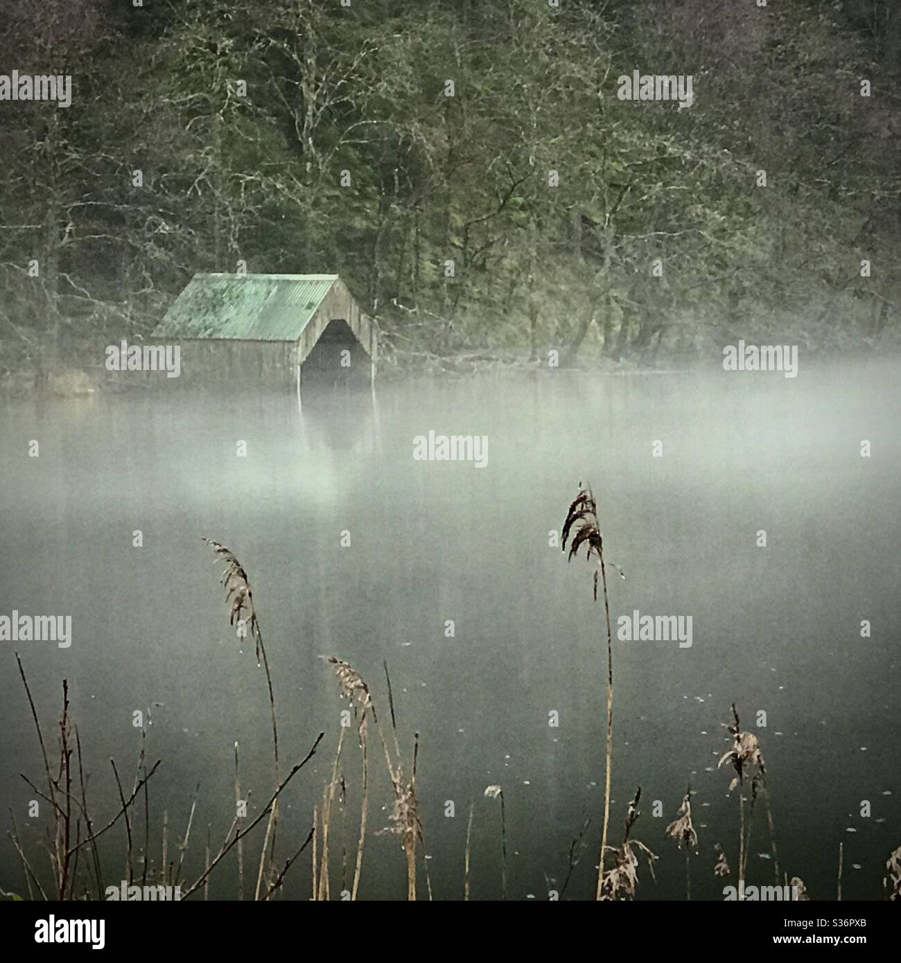 Misty Loch Ard, Loch Lomond and Trossachs National Park, Scotland. - Smartphone Captured Stock Image