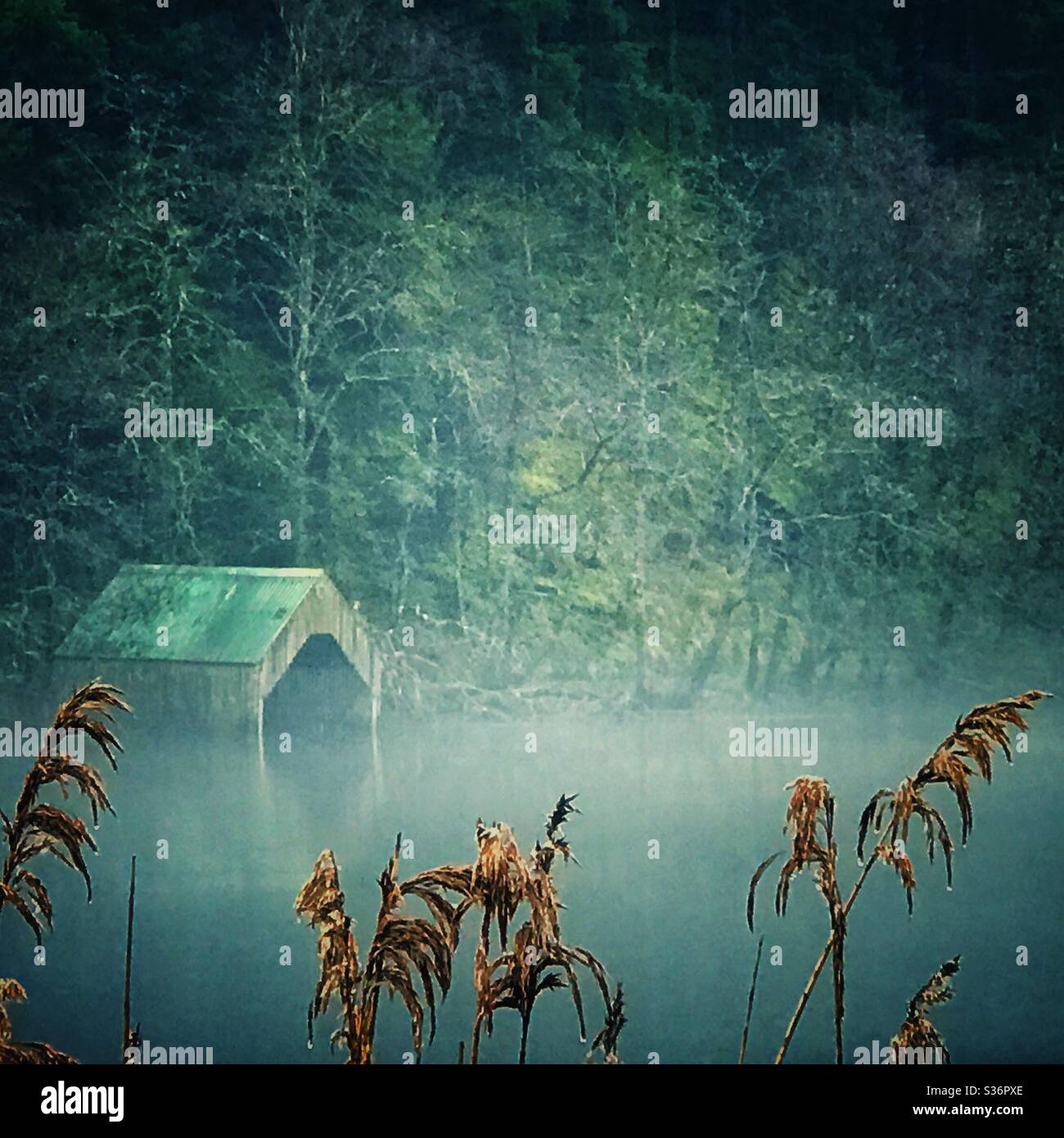 Misty Loch Ard, Loch Lomond and Trossachs National Park, Scotland. - Smartphone Captured Stock Image