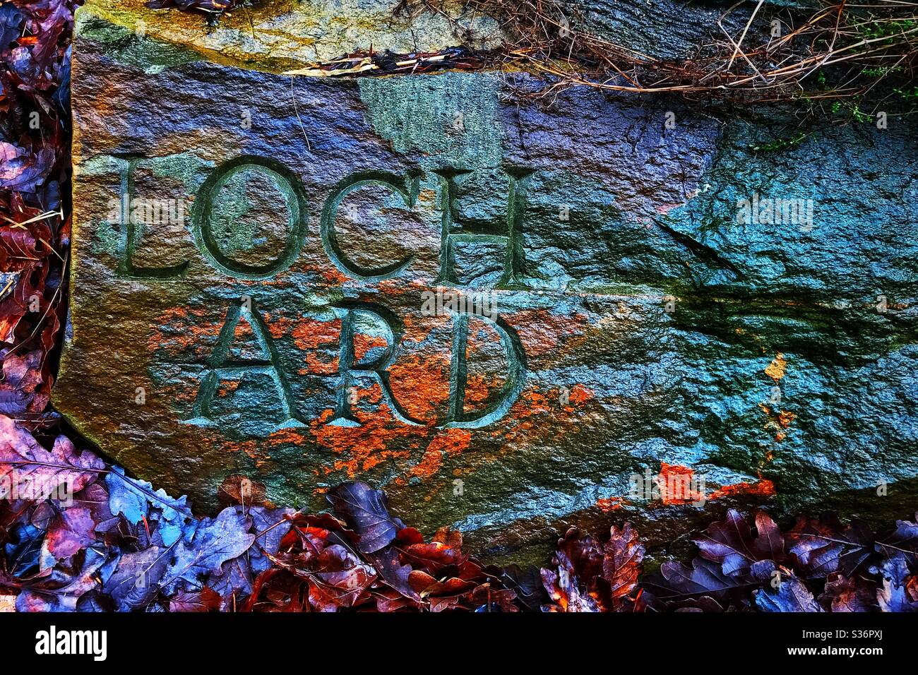 Stone by Loch Ard, Loch Lomond and Trossachs National Park, Scotland. - Smartphone Captured Stock Image