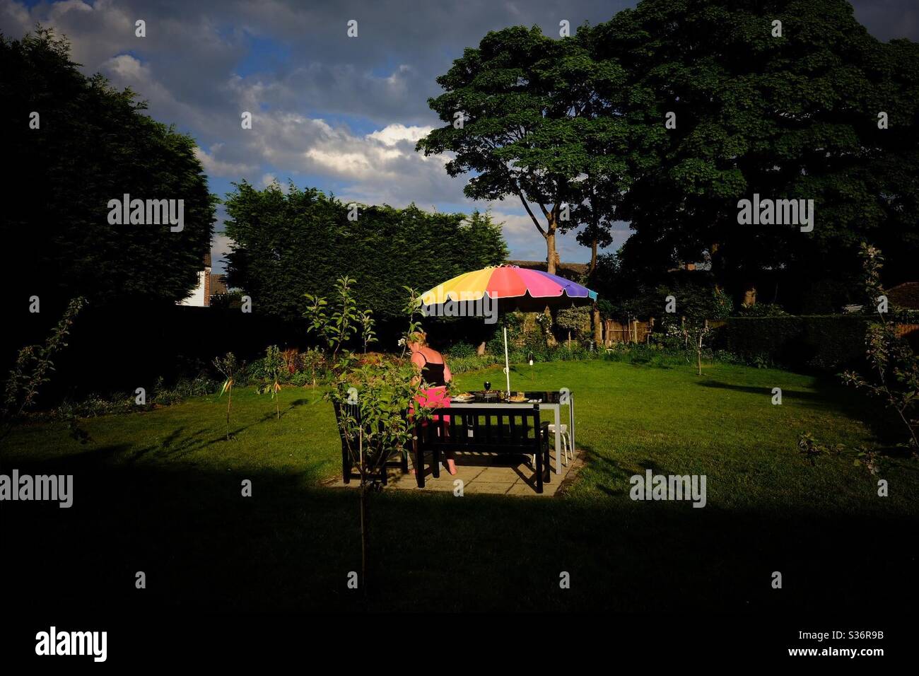 Garden In Lockdown - Smartphone Captured Stock Image