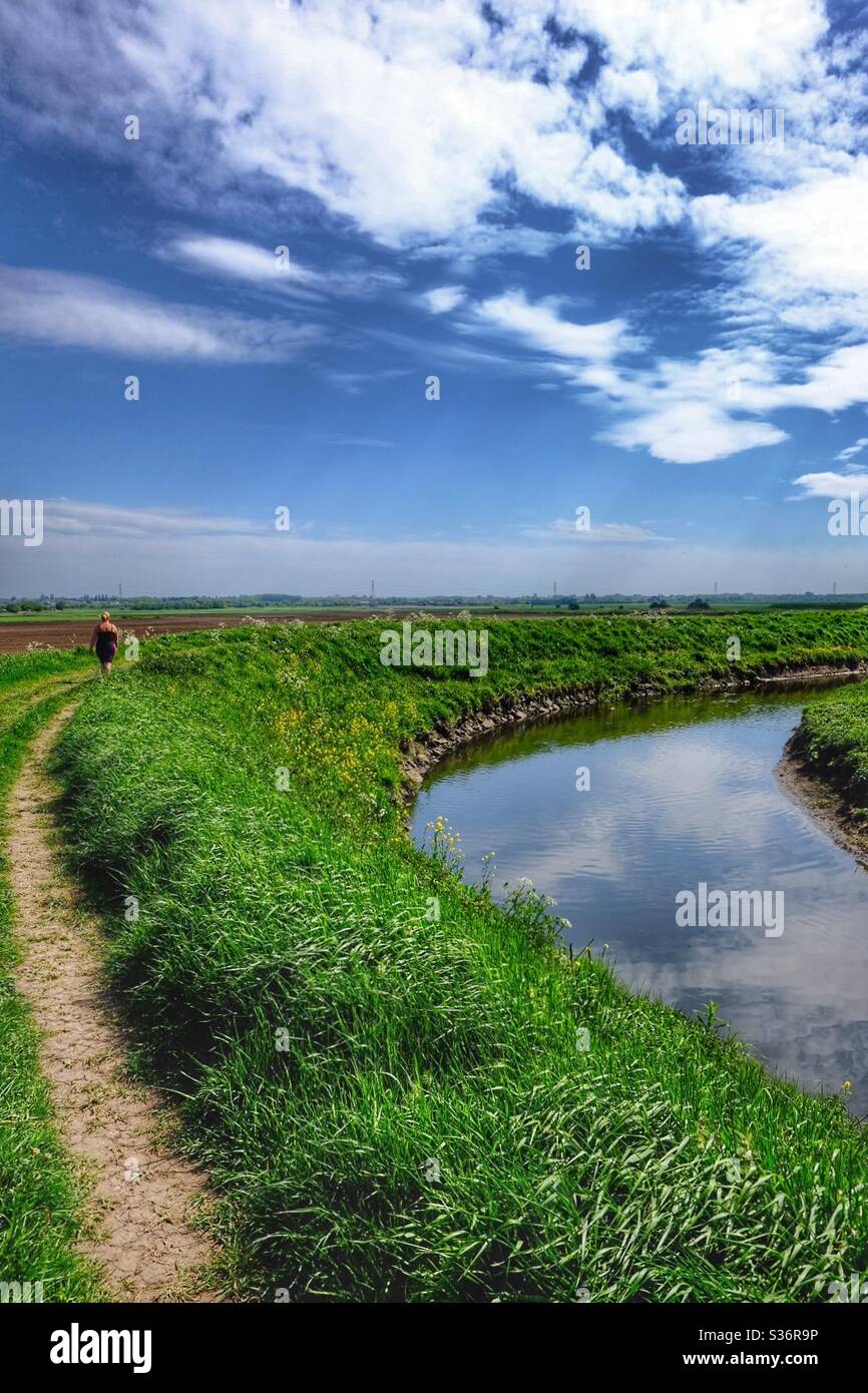 Summer Walk In Lockdown - Smartphone Captured Stock Image