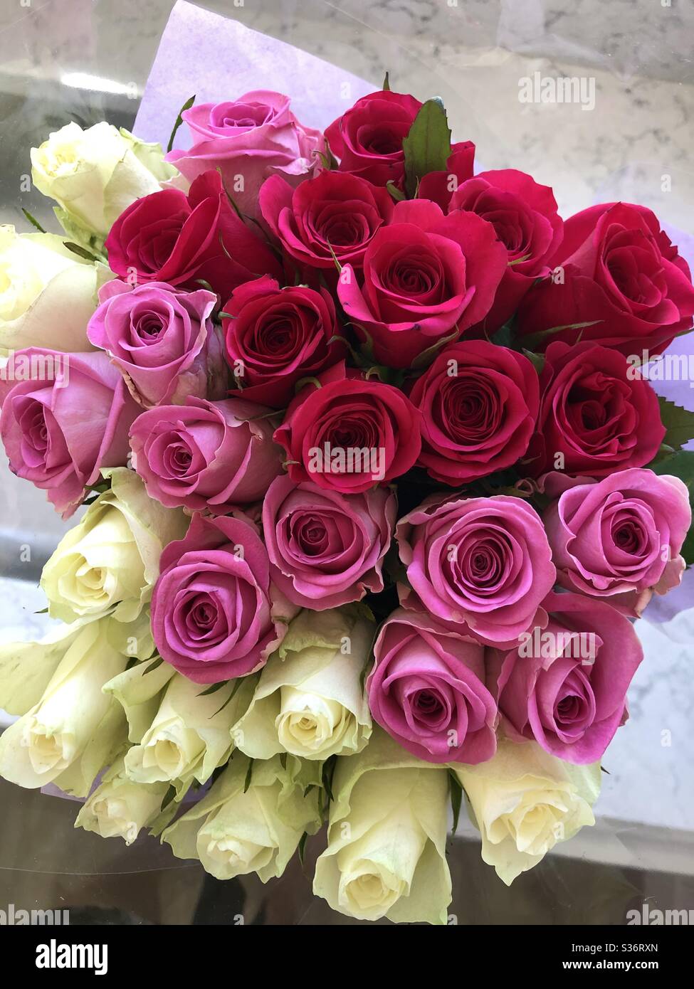 Smell the roses Stock Photo Alamy