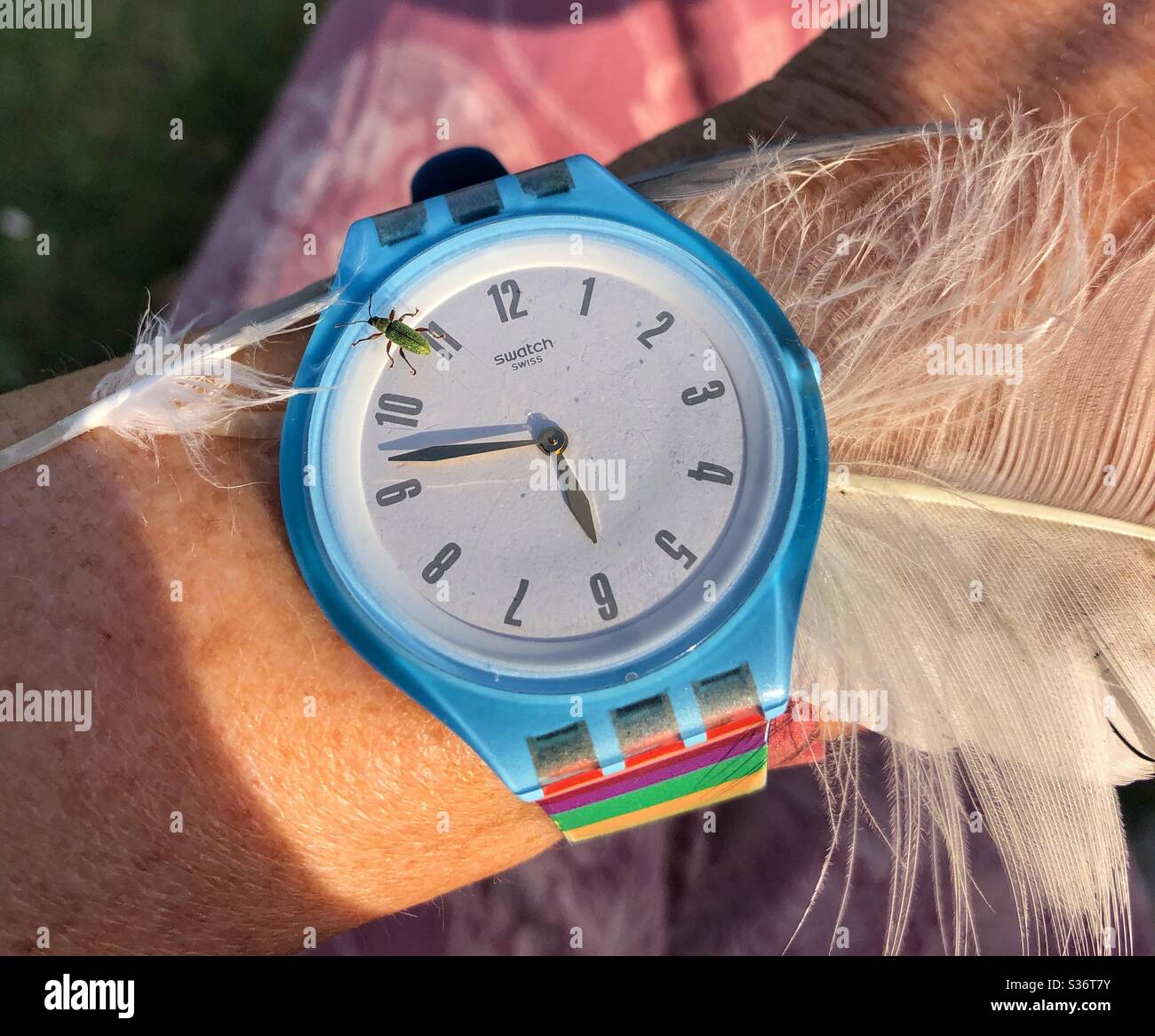 A tiny green bug crawling on the face of a wrist watch. - Smartphone Captured Stock Image