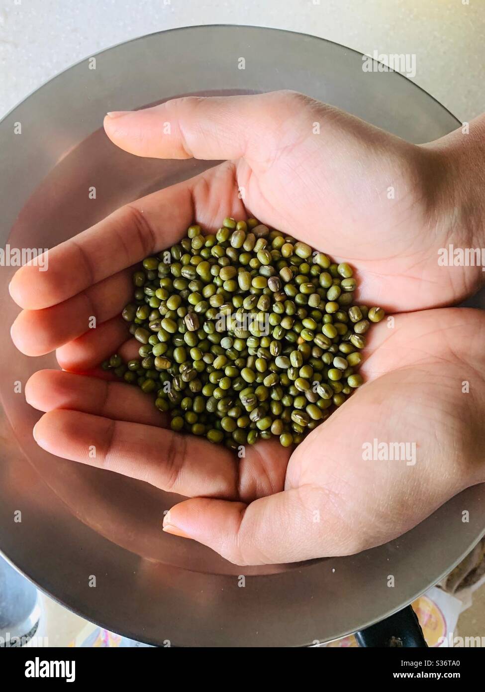 Hand full of dried mung beans Stock Photo Alamy