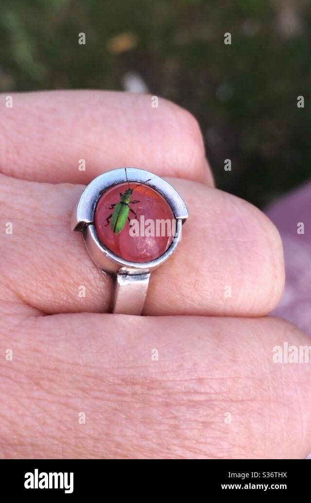 Close up of a tiny green bug resting on a woman’s rose quartz silver ring. - Smartphone Captured Stock Image