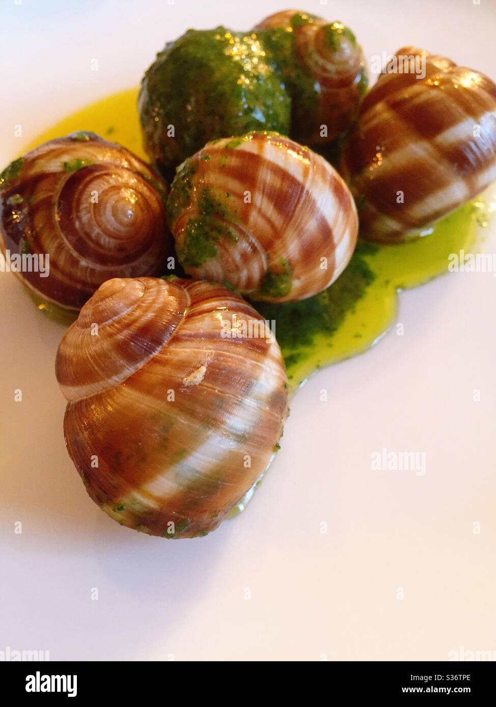Close up of the iconic French dish, escargot served in snail shells in a buttery garlic sauce topped with a cilantro garnish - Smartphone Captured Stock Image