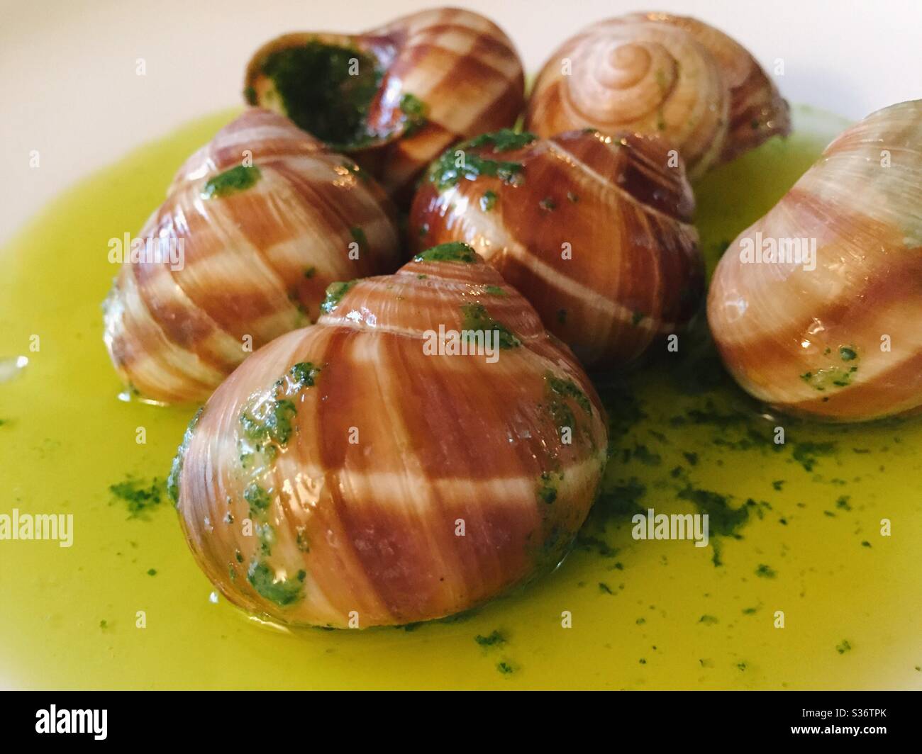 Close up of the French dish escargot in a garlic butter sauce Stock Photo -  Alamy