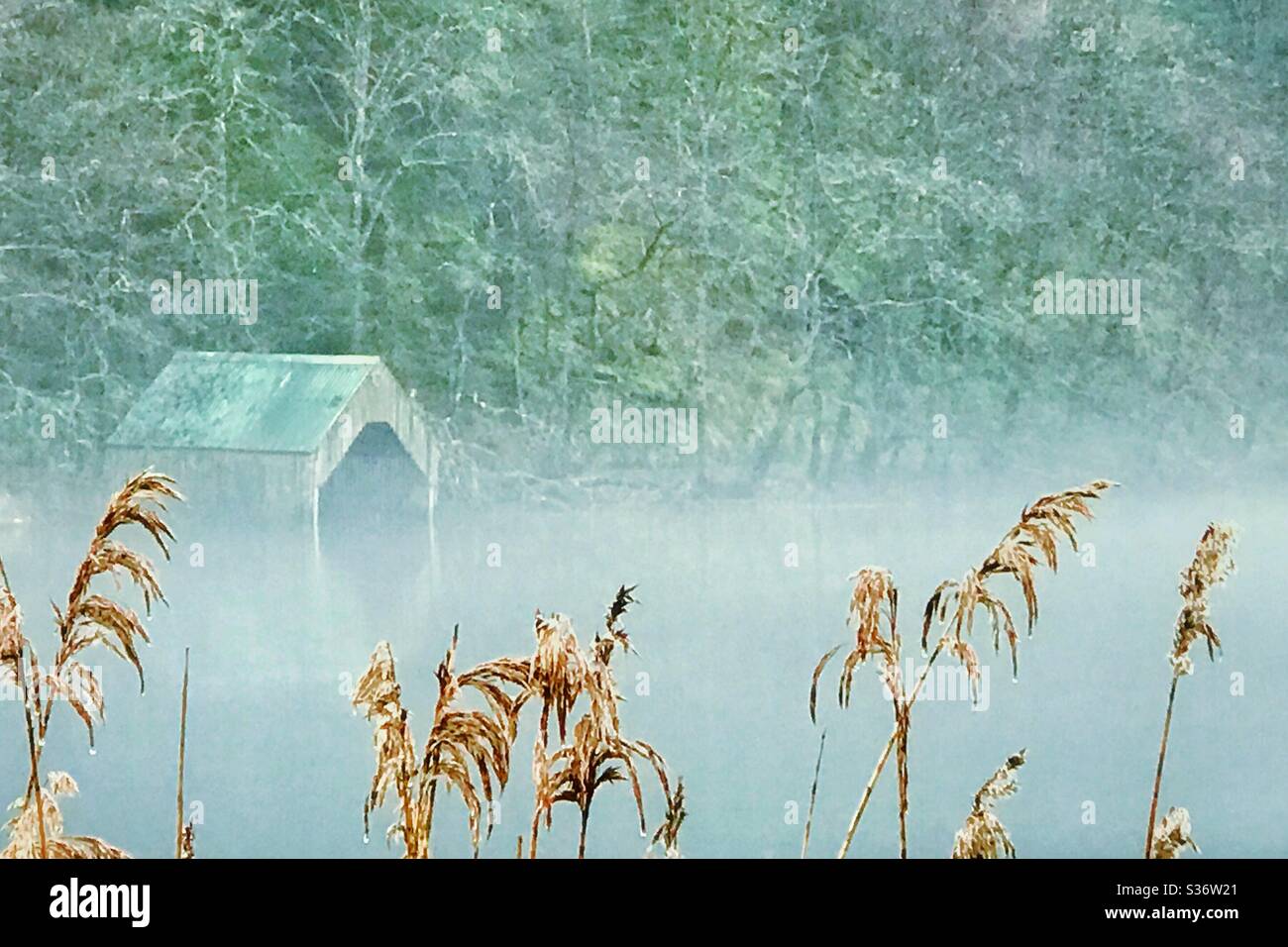 Misty Loch Ard, Scotland. - Smartphone Captured Stock Image