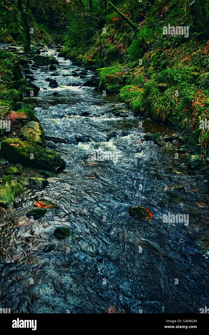 Loch Ard Forest, Scotland. - Smartphone Captured Stock Image