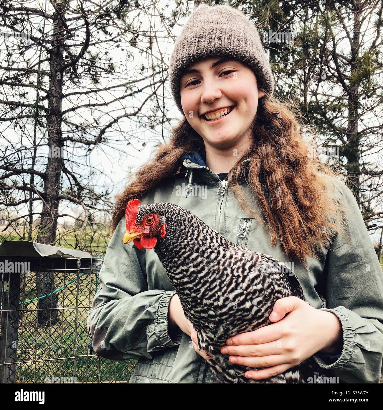 Teenage girl holding Plymouth Rock hen in her hands Stock Photo