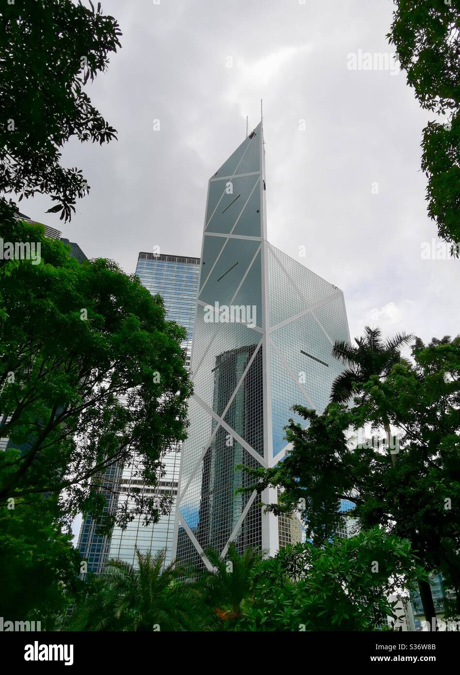 The Bank of China tower between trees. - Smartphone Captured Stock Image