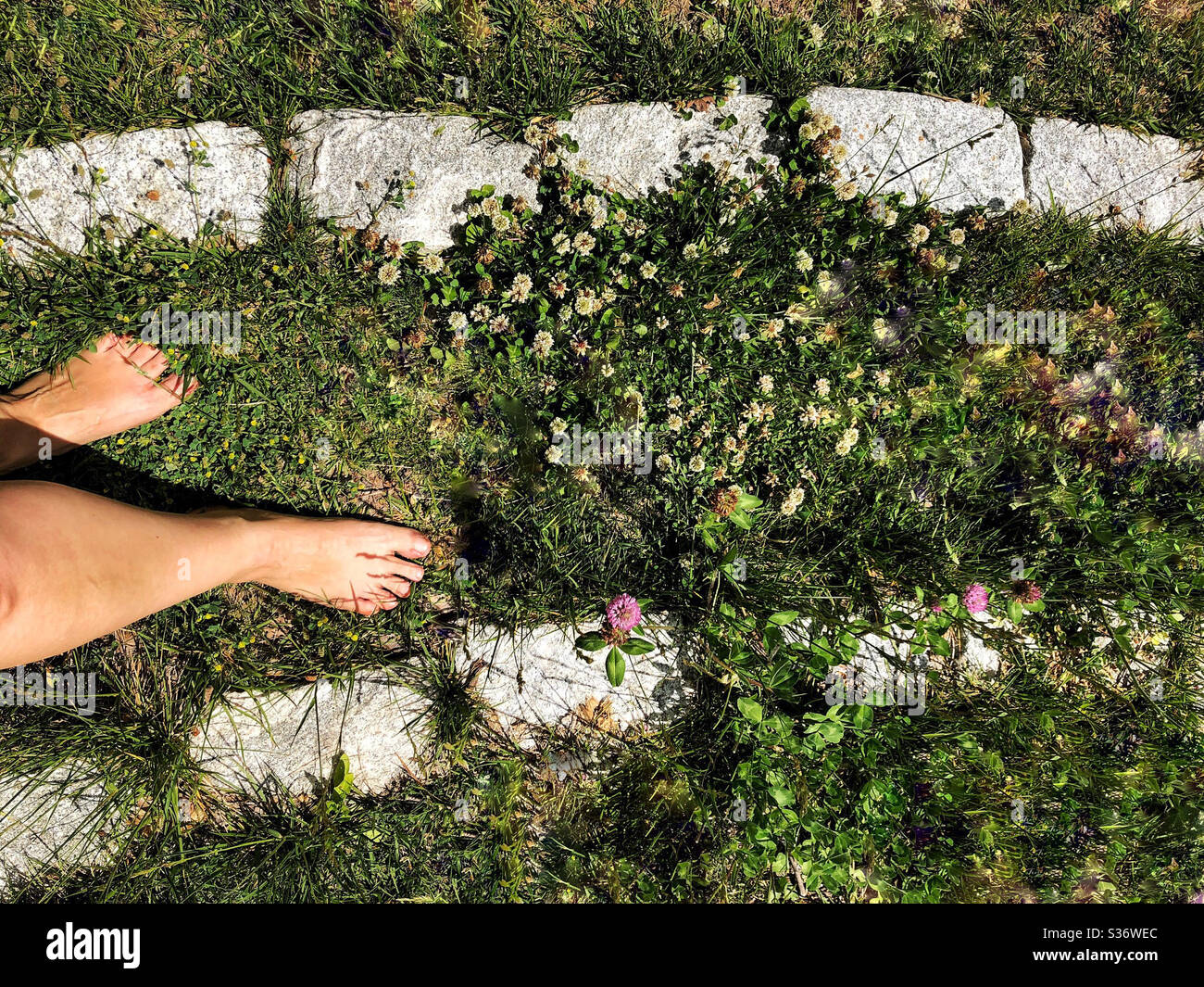 Woman walking barefoot through labyrinth or meditation maze formed with ...