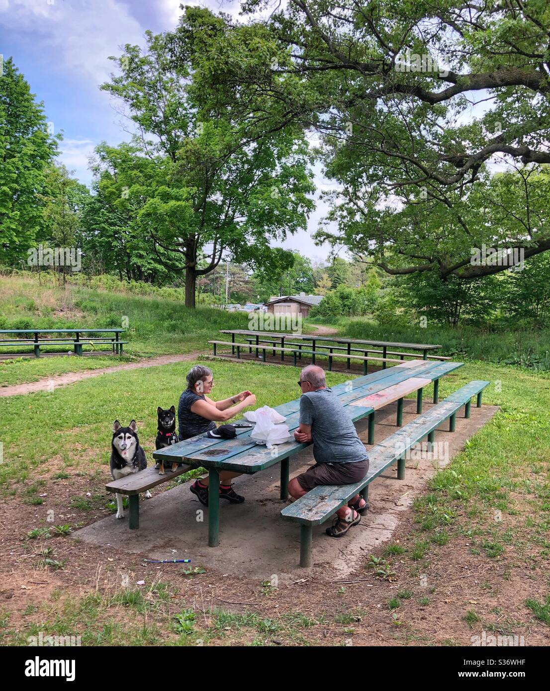 An elderly couple and their dogs sitting at picnic table. - Smartphone Captured Stock Image