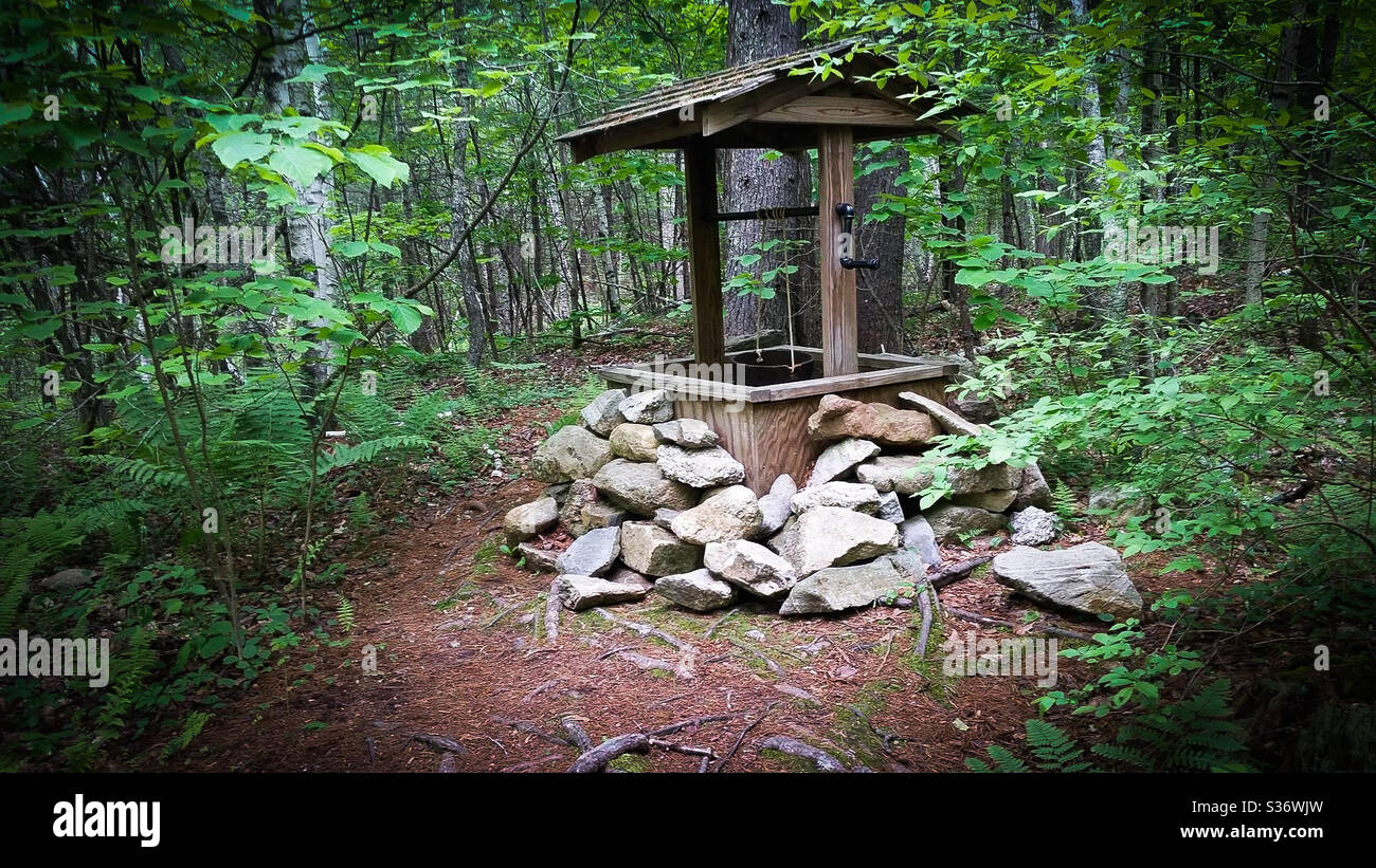 Well well well, what do we have here Stock Photo Alamy