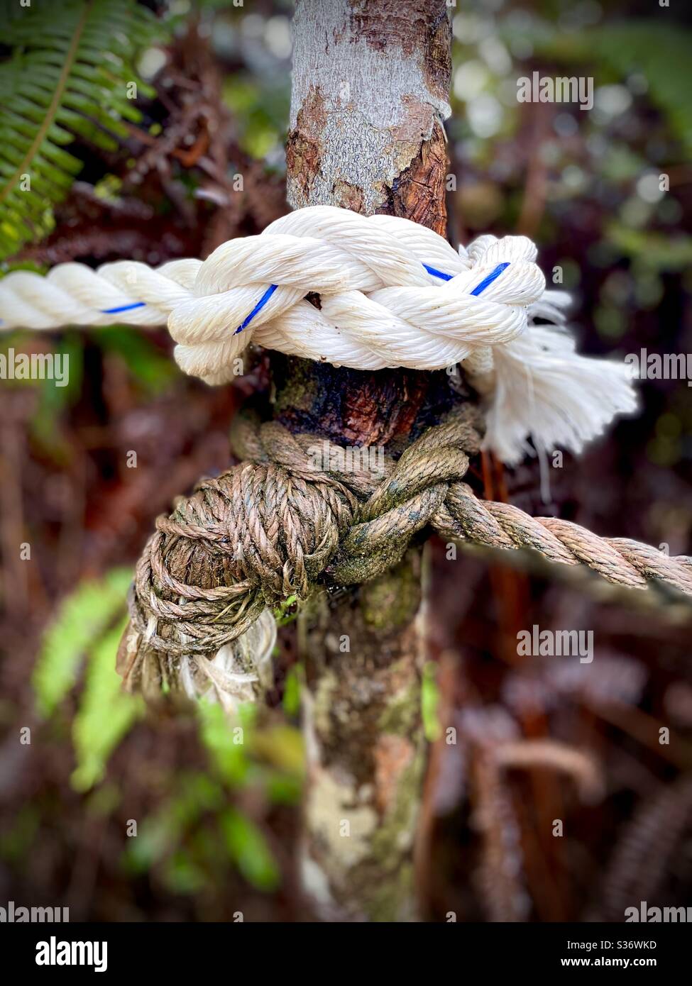 New ropes hi-res stock photography and images - Alamy