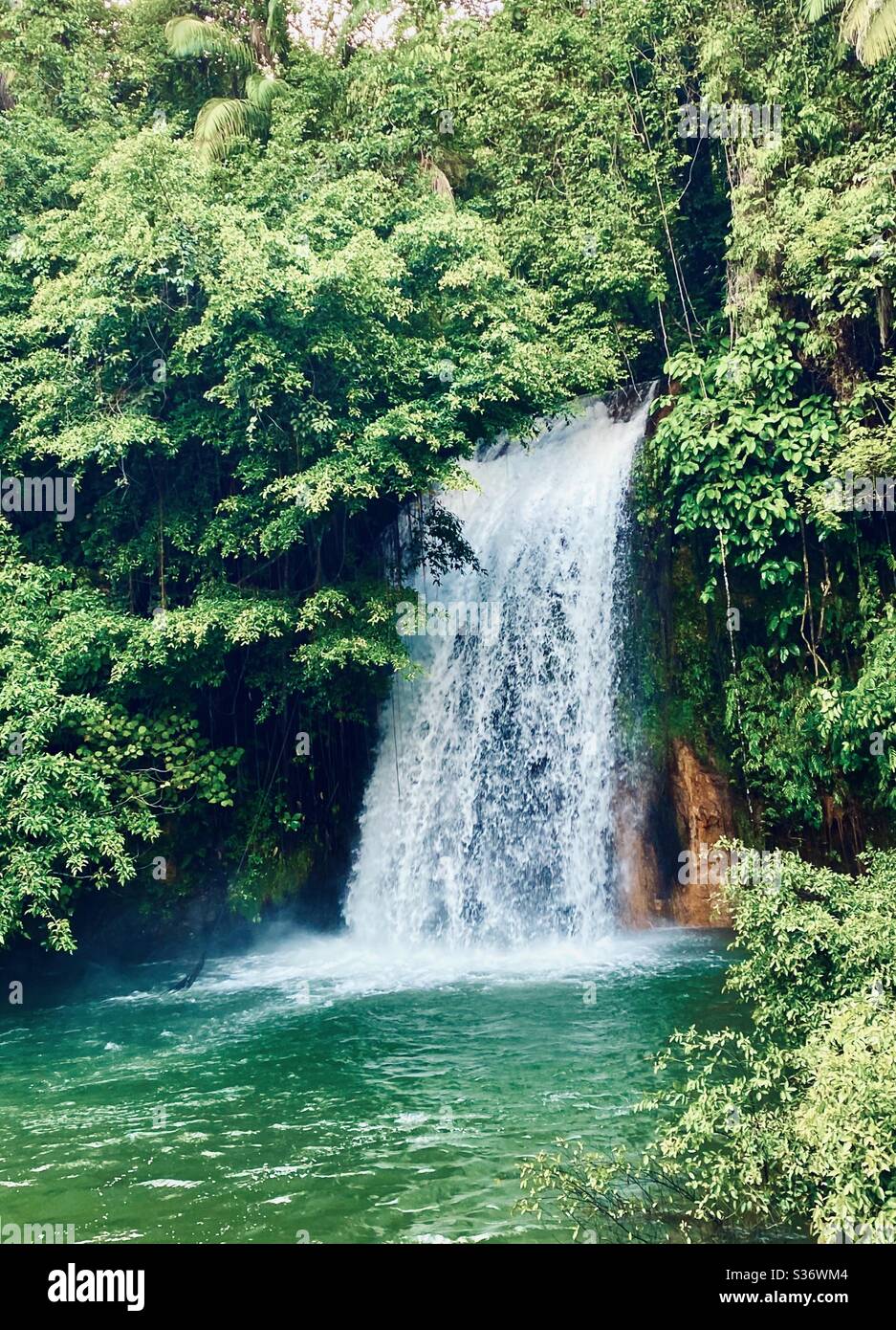 Waterfall in emerald green surroundings. Stock Photo
