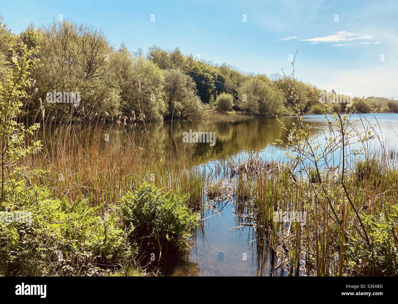 A lake on a summer’s days Stock Photo