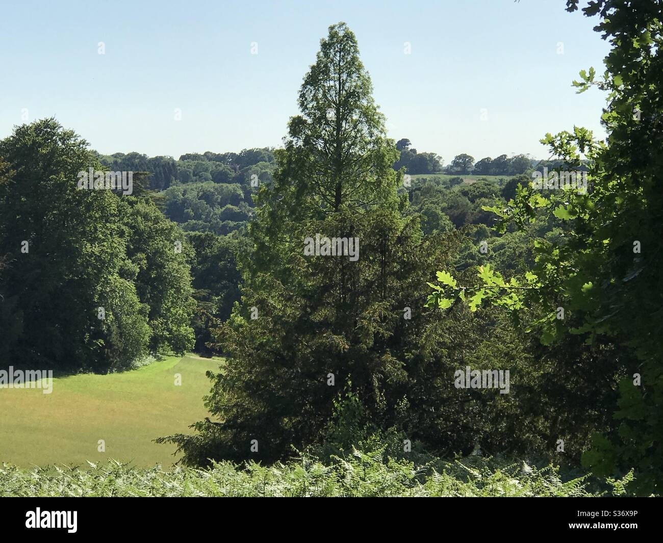 Wakehurst Gardens in June 2020 Stock Photo