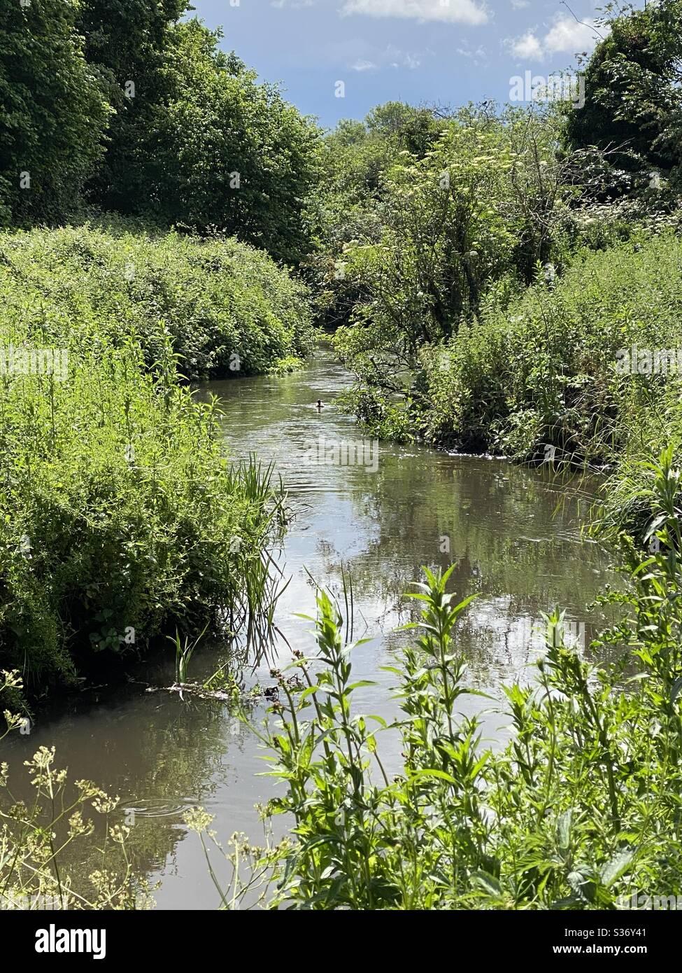 Bottesford beck hires stock photography and images Alamy