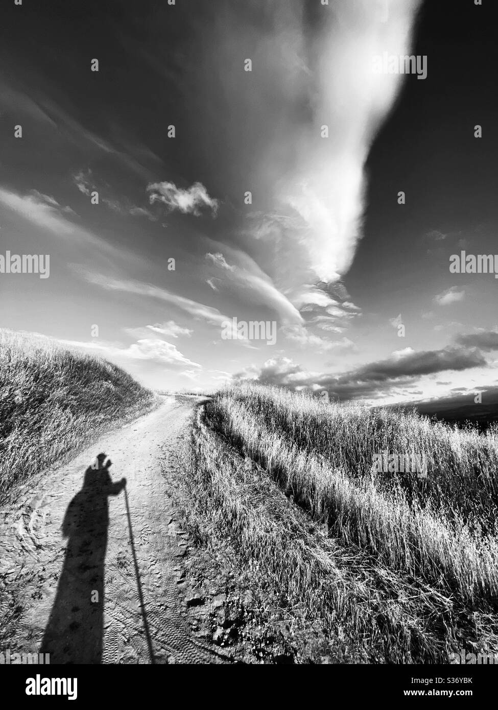 Hiker with hiking pole on a trail  taking photo of clouds. Stock Photo