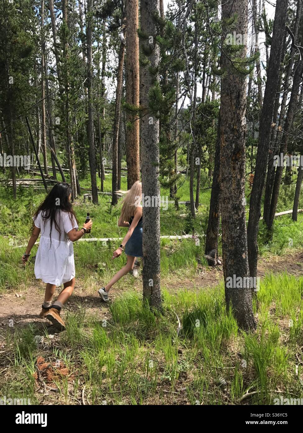 Two girls in forest hi-res stock photography and images - Alamy