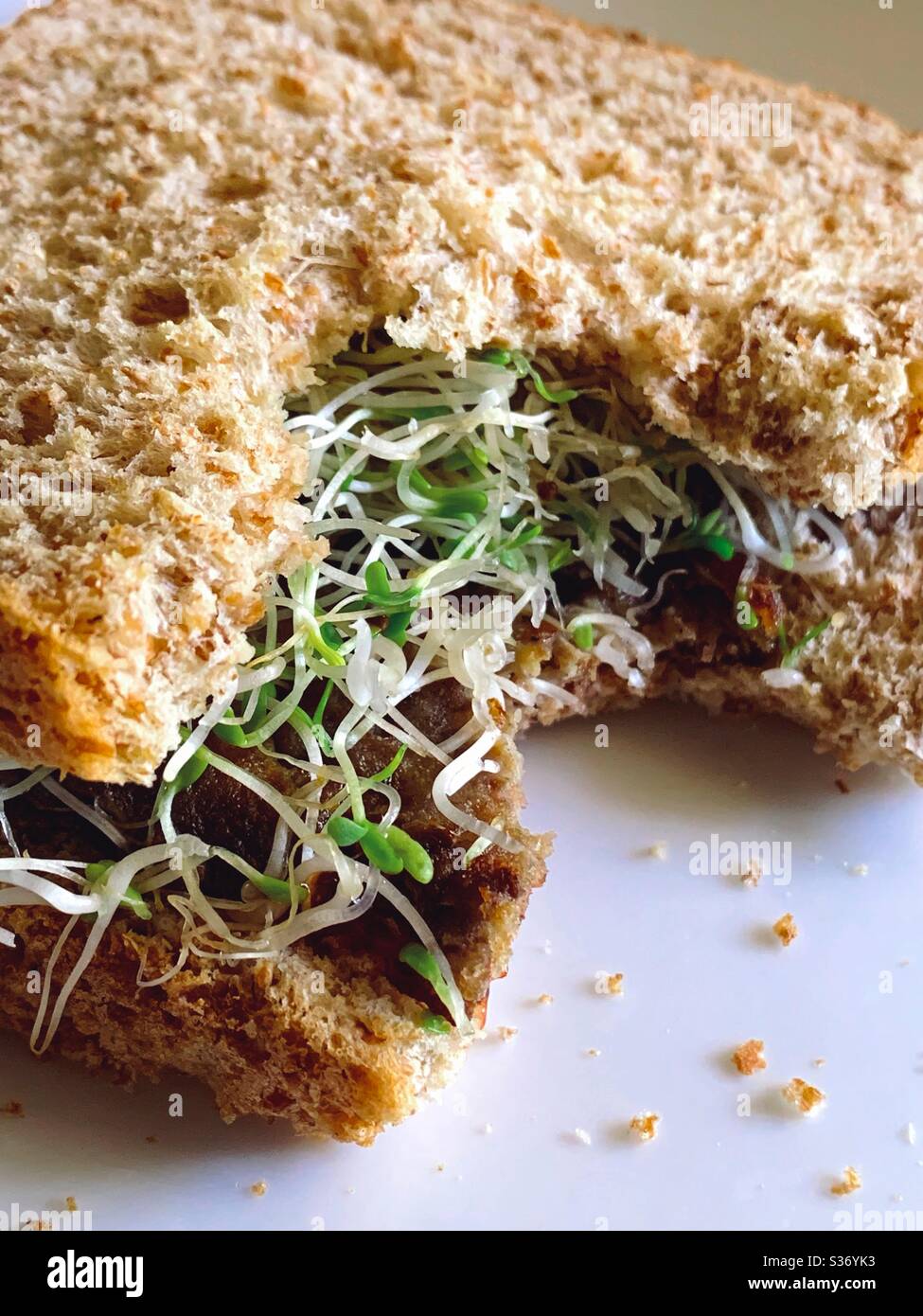 Burger sandwich with alfalfa sprouts Stock Photo Alamy