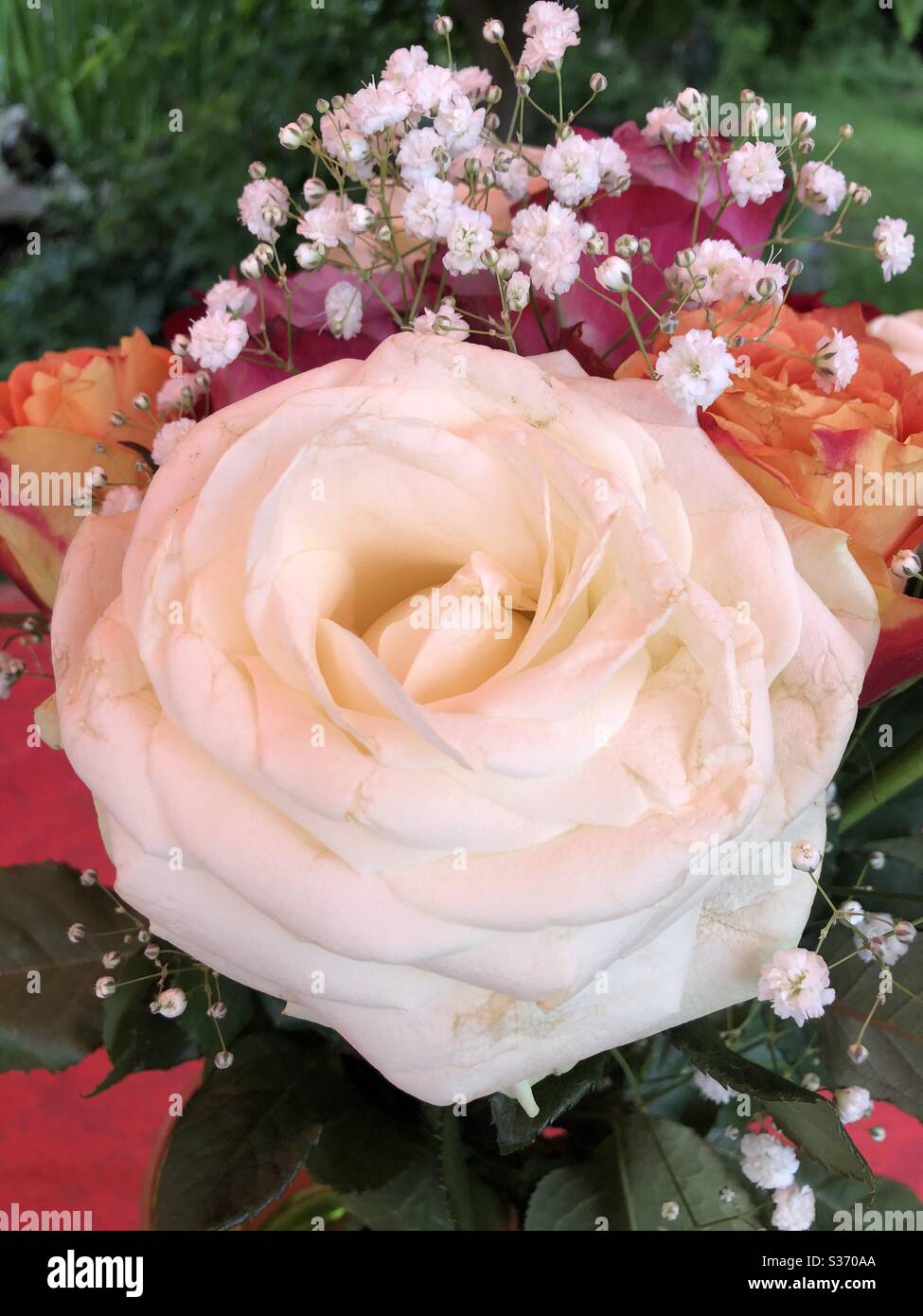 Close up of flowers from a beautiful bouquet Stock Photo