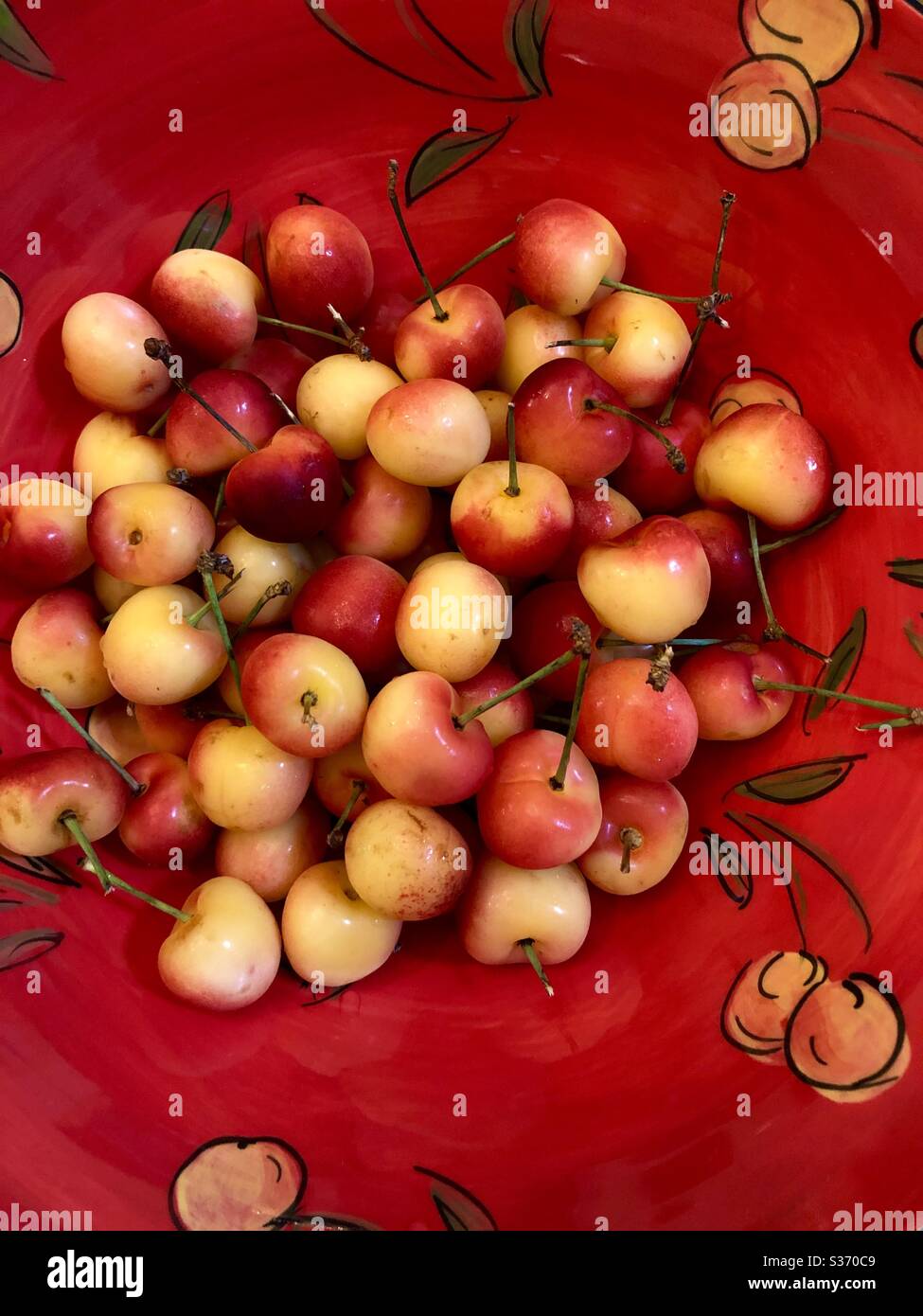 Close up of a bunch of rainier cherries sitting in a bowl hand painted with a rainier cherry motif. Stock Photo