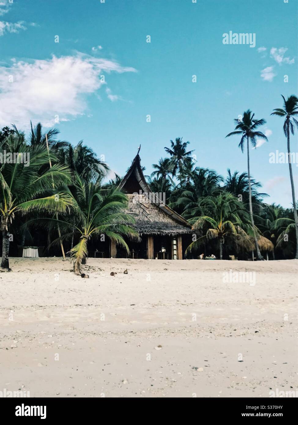 Beach hut surrounded by palm trees on an exotic beach in Siquijor, Philippines. Stock Photo