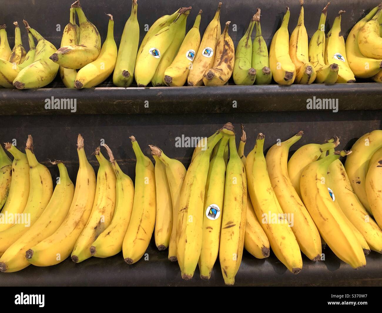 Bananas in a supermarket in the United Kingdom Stock Photo Alamy