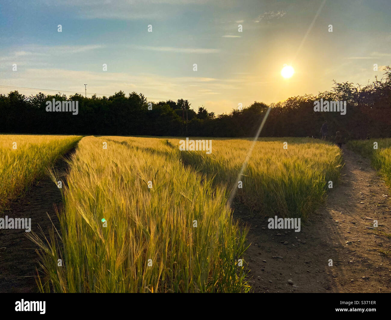 Field walks hi-res stock photography and images - Alamy