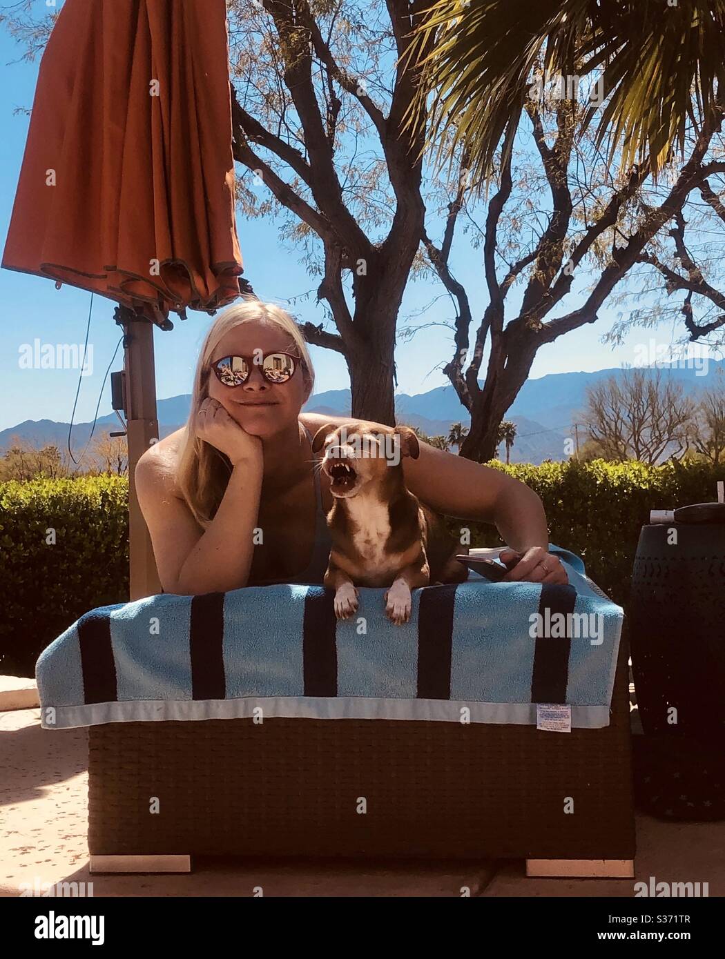 Angry pooch.  Palm Springs CA March 2019 Stock Photo