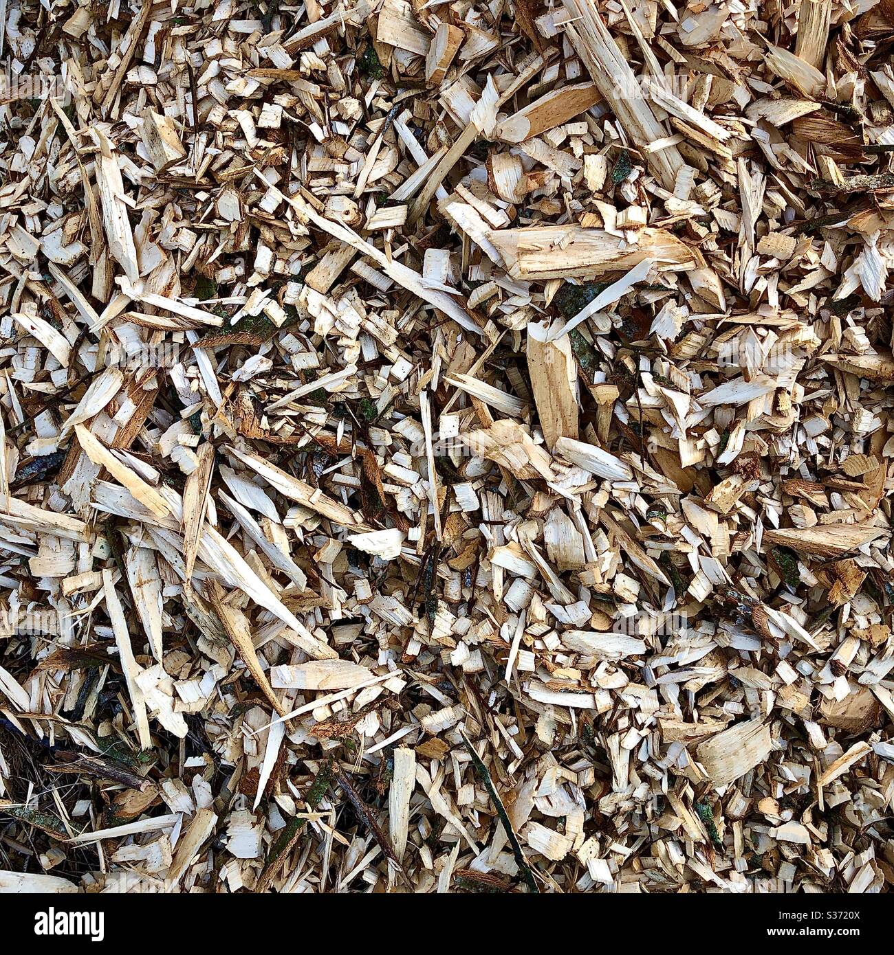 Wood clippings for use in heating stove. Stock Photo