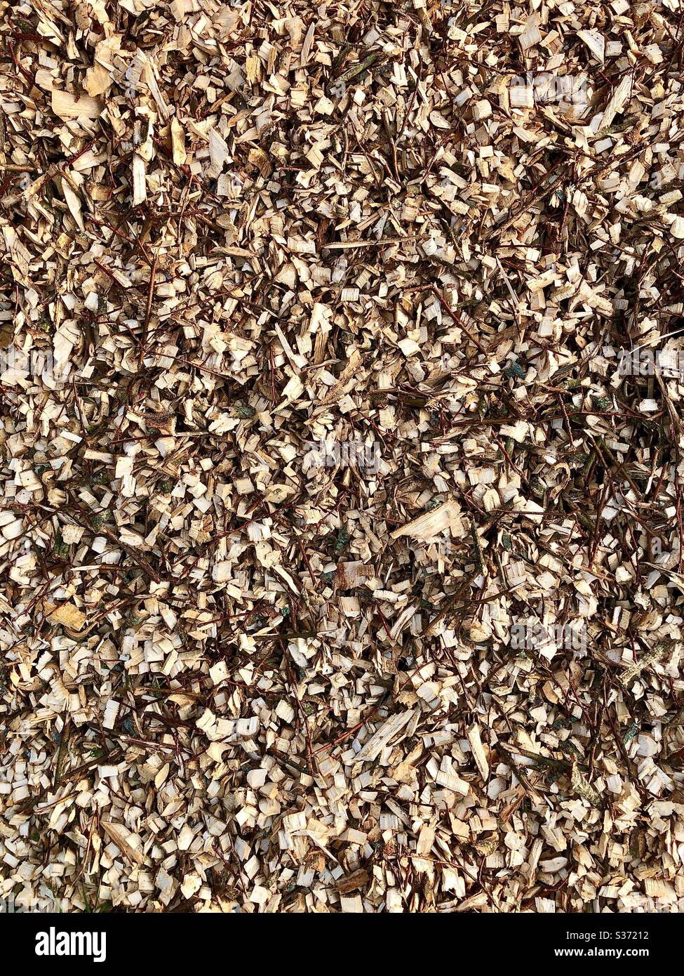 Fine wood chippings for covering garden soil beds. Stock Photo