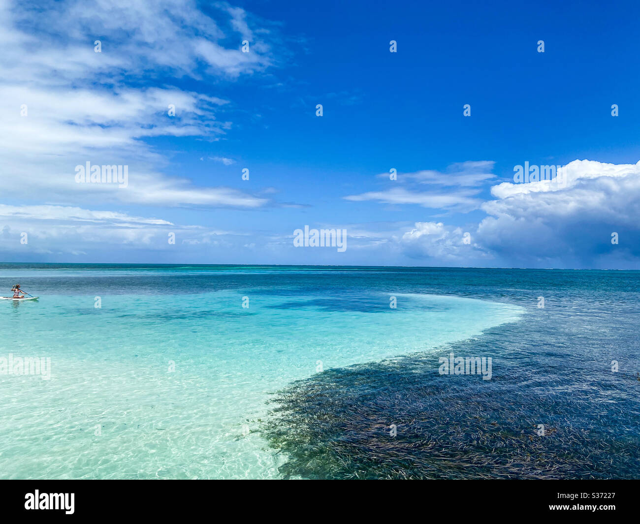 View of The Caribbean Sea from The Split on the island of Caye Caulker, Belize on March 11, 2020. - Smartphone Captured Stock Image