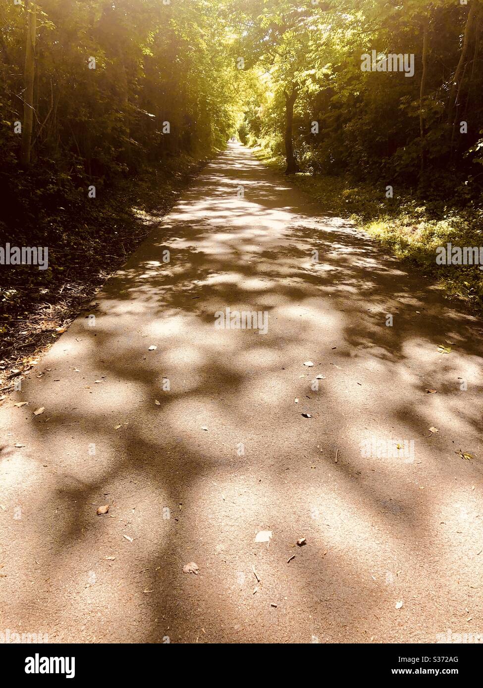 Early Evening Shadows On The Ivanhoe Trail Leicestershire Stock Photo Alamy